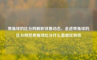 带角球的比分网解析球赛动态，走进带角球的比分网世界角球比分什么意思比特币