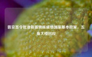 普京签令批准新版俄核威慑国家基本政策，五角大楼回应