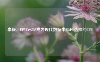 李毅：EPYC已经成为现代数据中心所选择的CPU