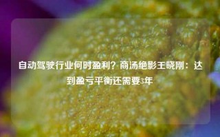 自动驾驶行业何时盈利？商汤绝影王晓刚：达到盈亏平衡还需要3年