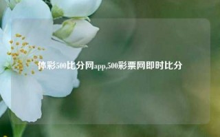 体彩500比分网app,500彩票网即时比分