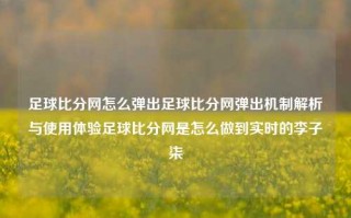 足球比分网怎么弹出足球比分网弹出机制解析与使用体验足球比分网是怎么做到实时的李子柒