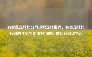 有哪些足球比分网探索足球世界，各类足球比分网的介绍与使用好用的足球比分网比特币