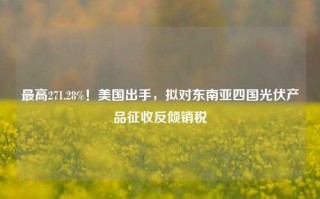 最高271.28%！美国出手，拟对东南亚四国光伏产品征收反倾销税