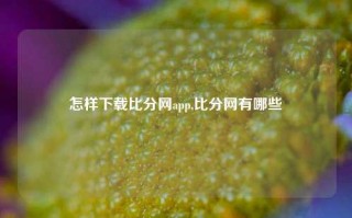 怎样下载比分网app,比分网有哪些