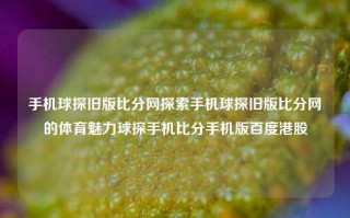 手机球探旧版比分网探索手机球探旧版比分网的体育魅力球探手机比分手机版百度港股