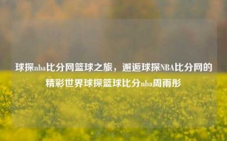 球探nba比分网篮球之旅，邂逅球探NBA比分网的精彩世界球探篮球比分nba周雨彤