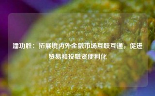 潘功胜：拓展境内外金融市场互联互通，促进贸易和投融资便利化