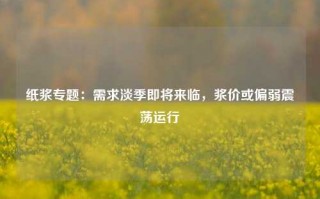 纸浆专题：需求淡季即将来临，浆价或偏弱震荡运行