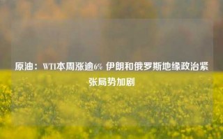 原油：WTI本周涨逾6% 伊朗和俄罗斯地缘政治紧张局势加剧