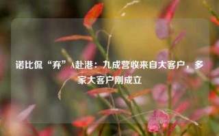 诺比侃“弃”A赴港：九成营收来自大客户，多家大客户刚成立