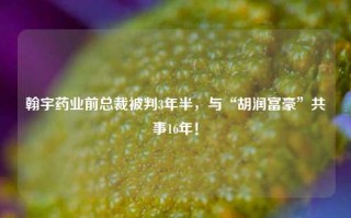 翰宇药业前总裁被判3年半，与“胡润富豪”共事16年！