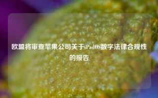 欧盟将审查苹果公司关于iPadOS数字法律合规性的报告