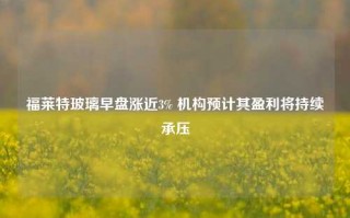 福莱特玻璃早盘涨近3% 机构预计其盈利将持续承压