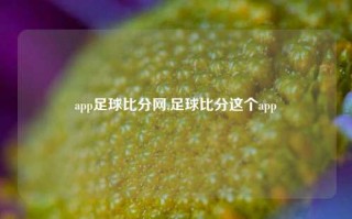 app足球比分网,足球比分这个app