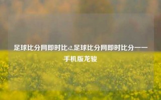 足球比分网即时比s2,足球比分网即时比分一一手机版龙骏