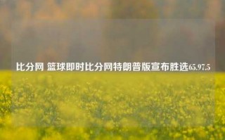 比分网 篮球即时比分网特朗普版宣布胜选65.97.5