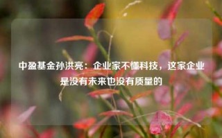 中盈基金孙洪亮：企业家不懂科技，这家企业是没有未来也没有质量的