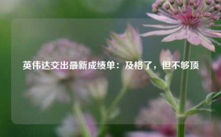 英伟达交出最新成绩单：及格了，但不够顶