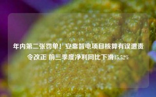 年内第二张罚单！安靠智电项目核算有误遭责令改正 前三季度净利同比下滑15.52%