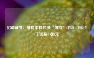 招商证券：维持中教控股“增持”评级 目标价下调至4.9港元