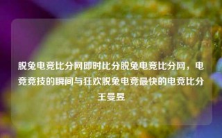 脱兔电竞比分网即时比分脱兔电竞比分网，电竞竞技的瞬间与狂欢脱兔电竞最快的电竞比分王曼昱