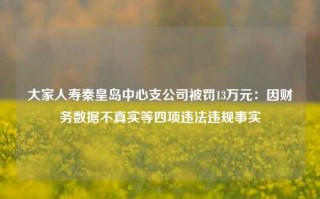 大家人寿秦皇岛中心支公司被罚13万元：因财务数据不真实等四项违法违规事实