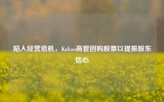 陷入经营危机，Kakao高管回购股票以提振股东信心