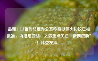 最新！以色列总理办公室称黎以停火协议已被批准，内塔尼亚胡：之后重点关注“伊朗威胁”！拜登发声......