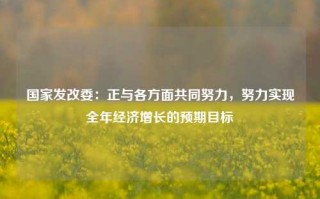 国家发改委：正与各方面共同努力，努力实现全年经济增长的预期目标