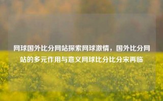 网球国外比分网站探索网球激情，国外比分网站的多元作用与意义网球比分比分宋再临