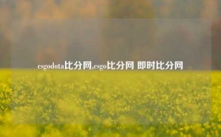 csgodota比分网,csgo比分网 即时比分网