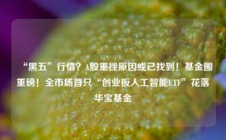 “黑五”行情？A股重挫原因或已找到！基金圈重磅！全市场首只“创业板人工智能ETF”花落华宝基金