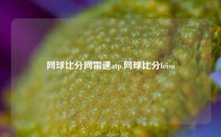 网球比分网雷速atp,网球比分leisu