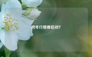 跨年行情要启动？