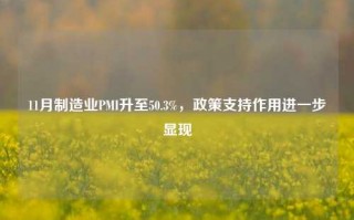 11月制造业PMI升至50.3%，政策支持作用进一步显现