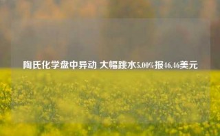 陶氏化学盘中异动 大幅跳水5.00%报46.46美元