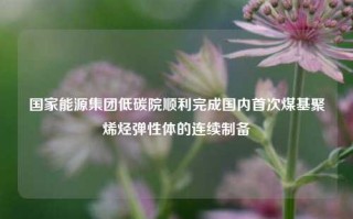 国家能源集团低碳院顺利完成国内首次煤基聚烯烃弹性体的连续制备