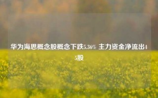 华为海思概念股概念下跌5.36% 主力资金净流出45股