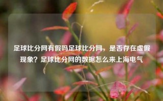 足球比分网有假吗足球比分网，是否存在虚假现象？足球比分网的数据怎么来上海电气