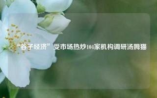 “谷子经济”受市场热炒104家机构调研汤姆猫