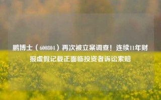 鹏博士（600804）再次被立案调查！连续11年财报虚假记载正面临投资者诉讼索赔