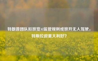 特朗普团队拟放宽AI监管规则或放开无人驾驶，特斯拉迎重大利好？