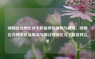 球探比分网比分手机版体验便利与趣味，球探比分网手机版解读与探讨球探比分下载官网立冬