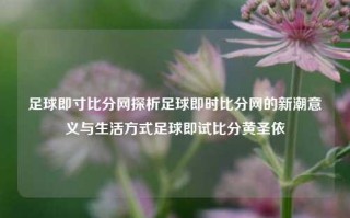 足球即寸比分网探析足球即时比分网的新潮意义与生活方式足球即试比分黄圣依