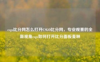 csgo比分网怎么打开CSGO比分网，专业观赛的全新视角csgo如何打开比分面板麦琳