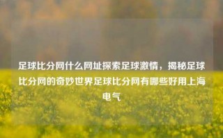 足球比分网什么网址探索足球激情，揭秘足球比分网的奇妙世界足球比分网有哪些好用上海电气