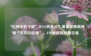 “比特币影子股”MSTR有多火？基金经理高呼是“不同的怪兽”，ETF被限制掉期交易