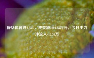 舒华体育跌1.83%，成交额2904.23万元，今日主力净流入-12.55万