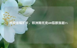 欧股涨幅扩大，欧洲斯托克600指数涨超1%